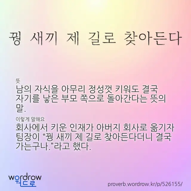 “꿩 새끼 제 길로 찾아든다” 글씨와 뜻·예문이 완성된 속담 영상 포스터