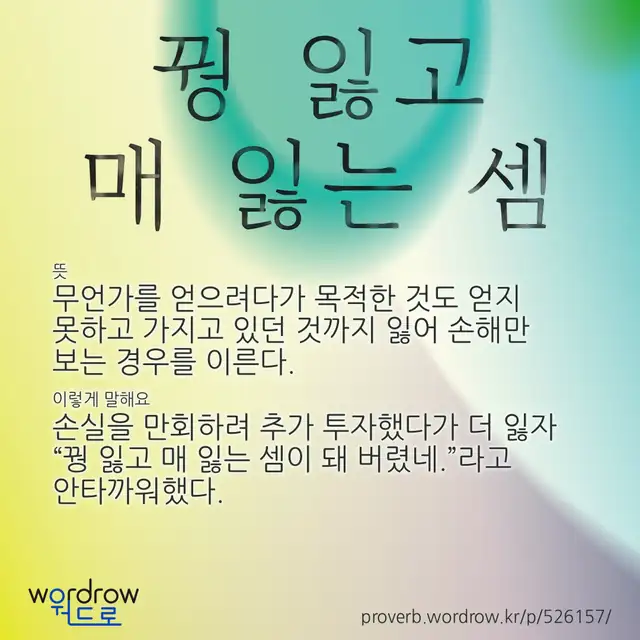 “꿩 잃고 매 잃는 셈” 글씨와 뜻·예문이 완성된 속담 영상 포스터