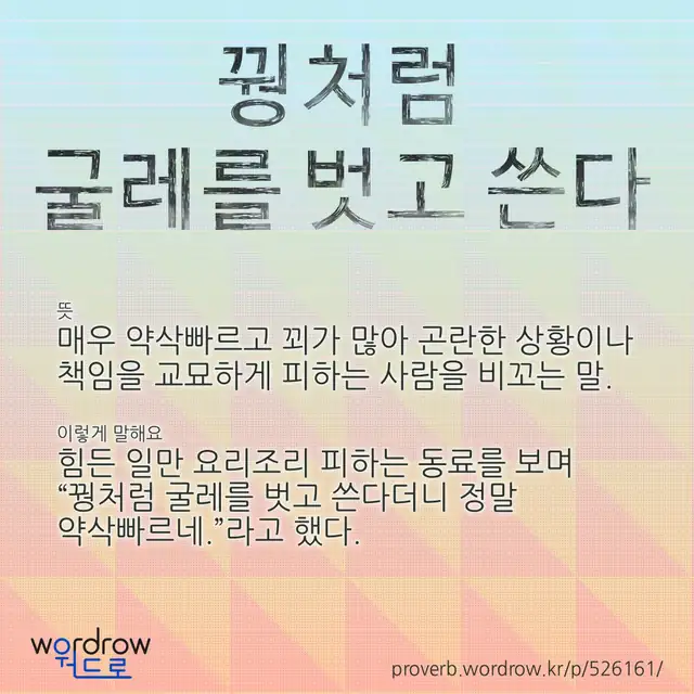 “꿩처럼 굴레를 벗고 쓴다” 글씨와 뜻·예문이 완성된 속담 영상 포스터