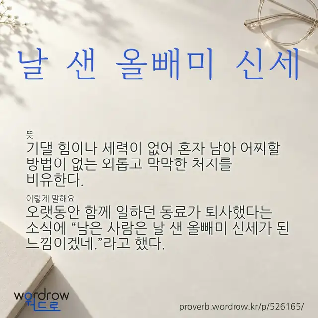 “날 샌 올빼미 신세” 글씨와 뜻·예문이 완성된 속담 영상 포스터