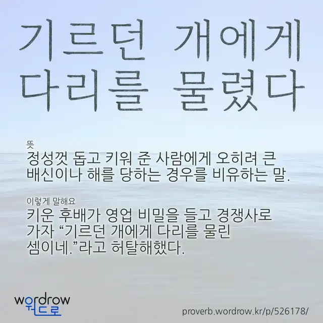 “기르던 개에게 다리를 물렸다” 글씨와 뜻·예문이 완성된 속담 영상 포스터