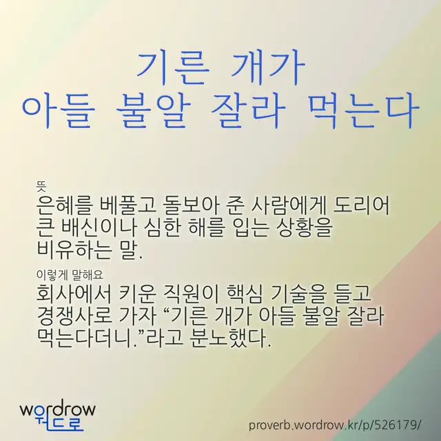 “기른 개가 아들 불알 잘라 먹는다” 글씨와 뜻·예문이 완성된 속담 영상 포스터