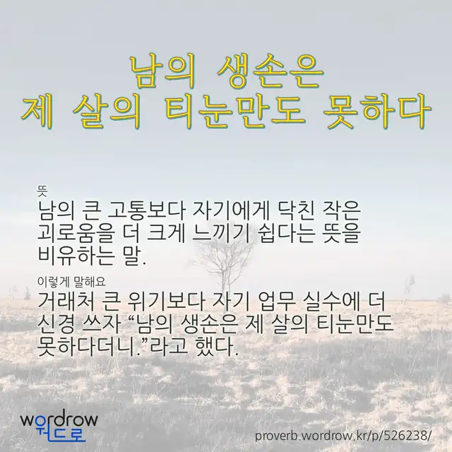 “남의 생손은 제 살의 티눈만도 못하다” 글씨와 뜻·예문이 완성된 속담 영상 포스터