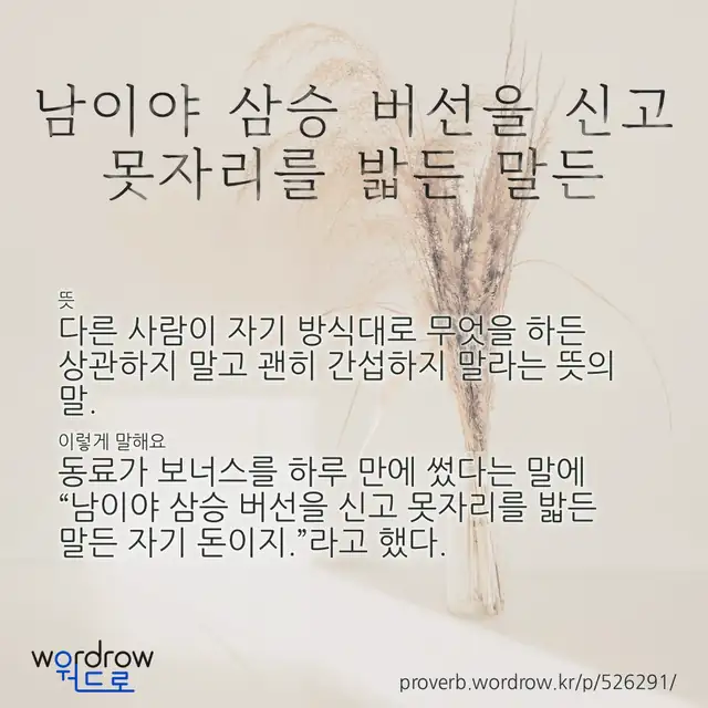 “남이야 삼승 버선을 신고 못자리를 밟든 말든” 글씨와 뜻·예문이 완성된 속담 영상 포스터