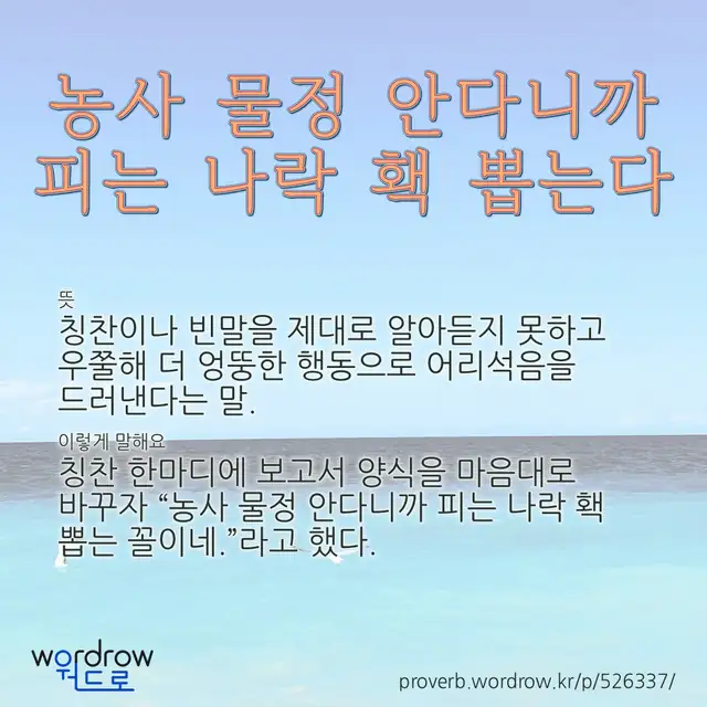 “농사 물정 안다니까 피는 나락 홱 뽑는다” 글씨와 뜻·예문이 완성된 속담 영상 포스터