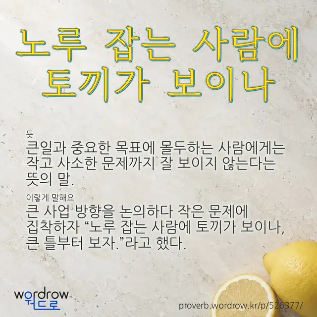 “노루 잡는 사람에 토끼가 보이나” 글씨와 뜻·예문이 완성된 속담 영상 포스터