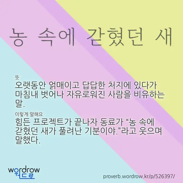 “농 속에 갇혔던 새” 글씨와 뜻·예문이 완성된 속담 영상 포스터