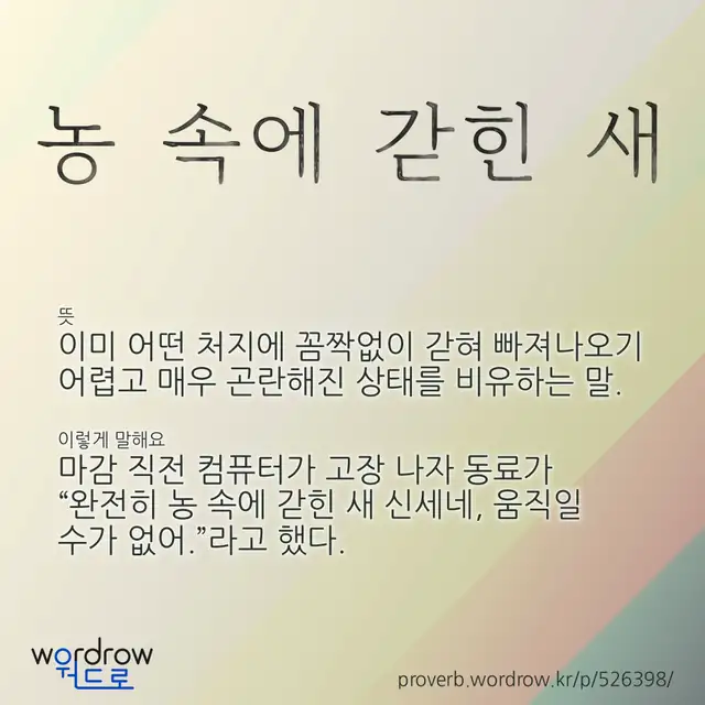 “농 속에 갇힌 새” 글씨와 뜻·예문이 완성된 속담 영상 포스터