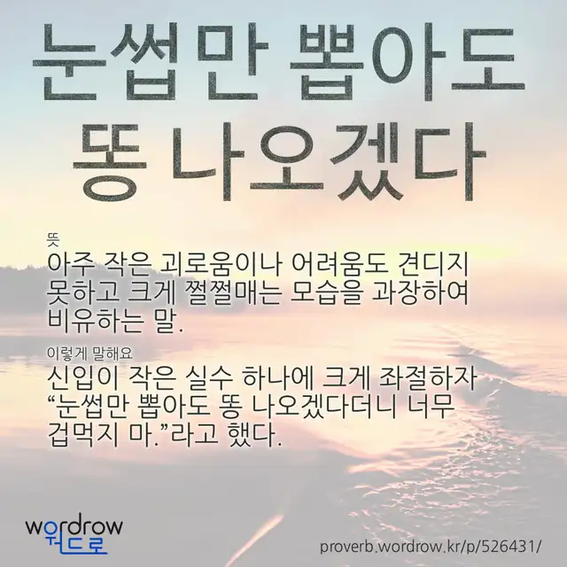 “눈썹만 뽑아도 똥 나오겠다” 글씨와 뜻·예문이 완성된 속담 영상 포스터