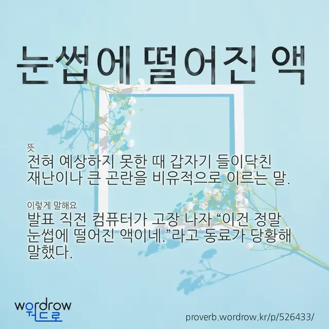 “눈썹에 떨어진 액” 글씨와 뜻·예문이 완성된 속담 영상 포스터