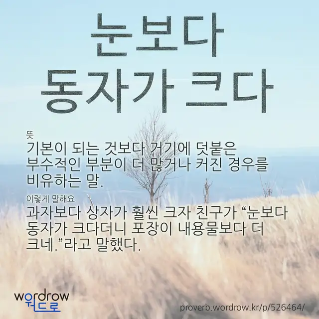 “눈보다 동자가 크다” 글씨와 뜻·예문이 완성된 속담 영상 포스터