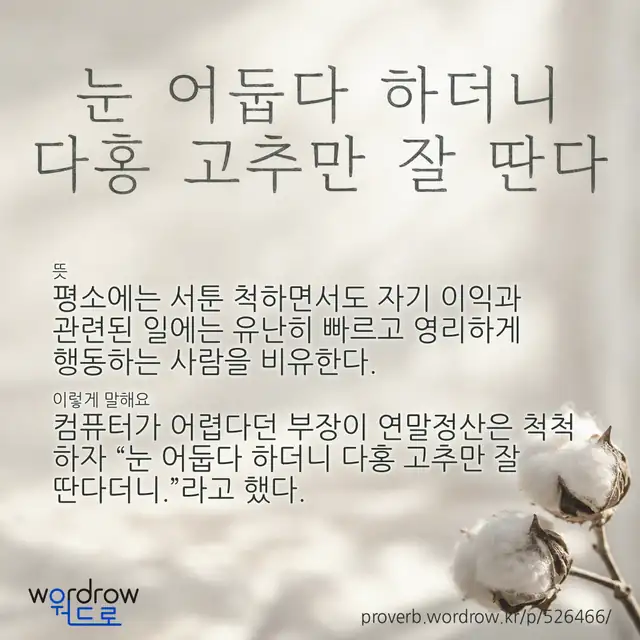 “눈 어둡다 하더니 다홍 고추만 잘 딴다” 글씨와 뜻·예문이 완성된 속담 영상 포스터