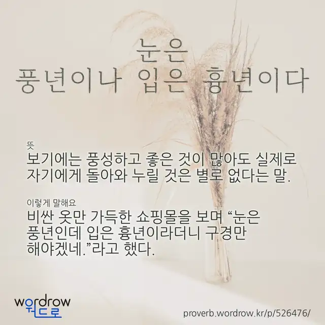 “눈은 풍년이나 입은 흉년이다” 글씨와 뜻·예문이 완성된 속담 영상 포스터