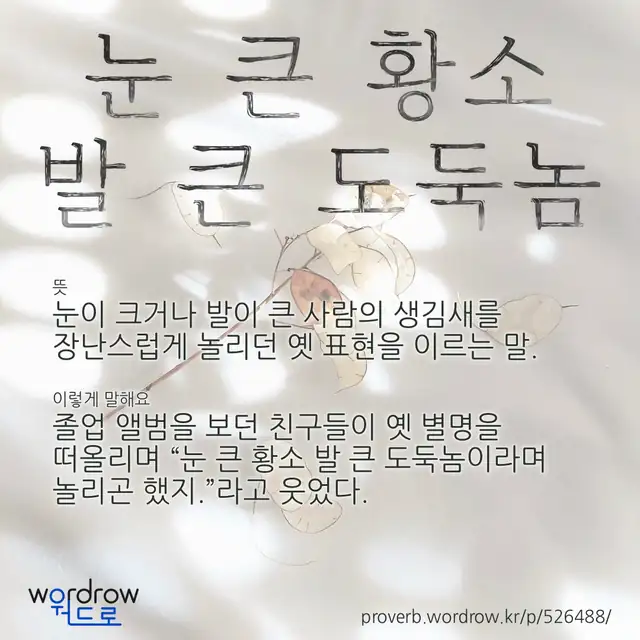 “눈 큰 황소 발 큰 도둑놈” 글씨와 뜻·예문이 완성된 속담 영상 포스터