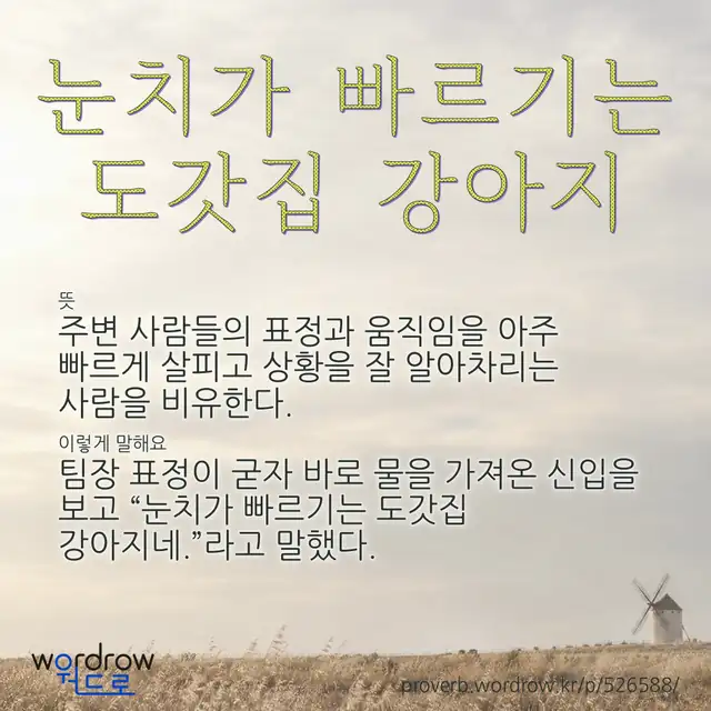 “눈치가 빠르기는 도갓집 강아지” 글씨와 뜻·예문이 완성된 속담 영상 포스터