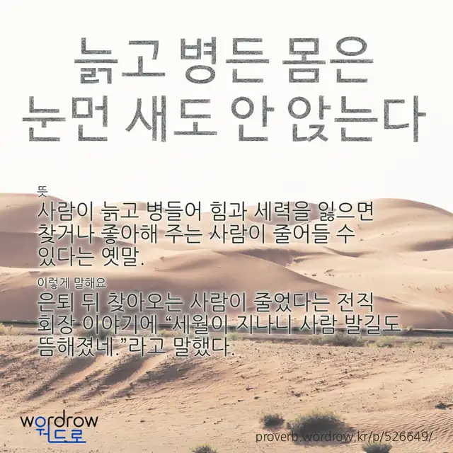 “늙고 병든 몸은 눈먼 새도 안 앉는다” 글씨와 뜻·예문이 완성된 속담 영상 포스터