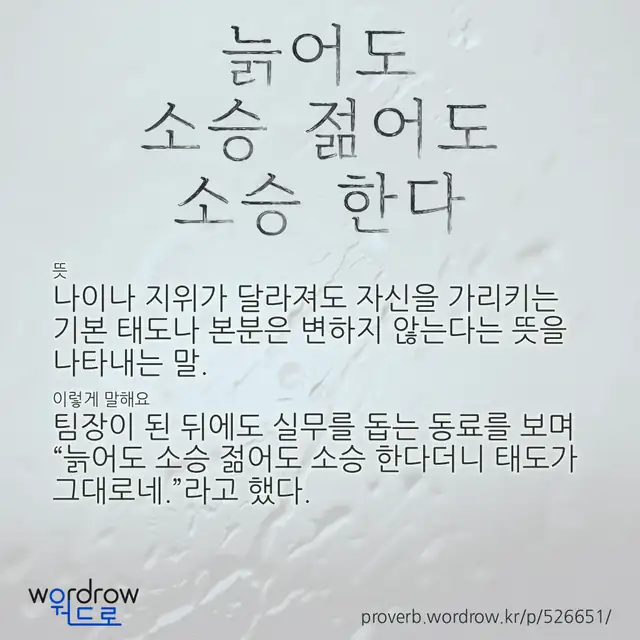 “늙어도 소승 젊어도 소승 한다” 글씨와 뜻·예문이 완성된 속담 영상 포스터