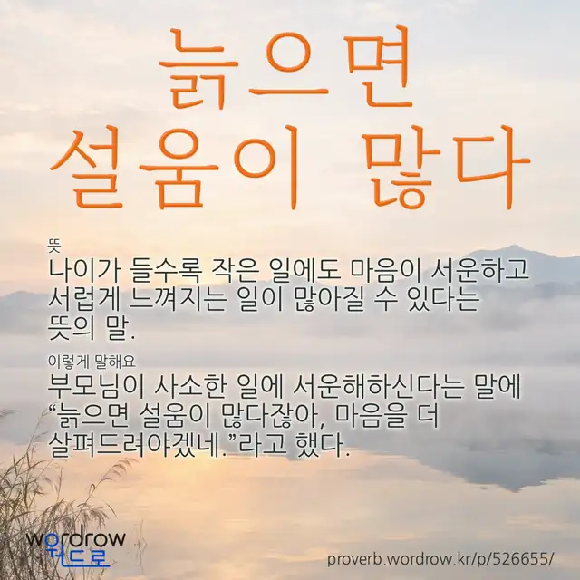 “늙으면 설움이 많다” 글씨와 뜻·예문이 완성된 속담 영상 포스터