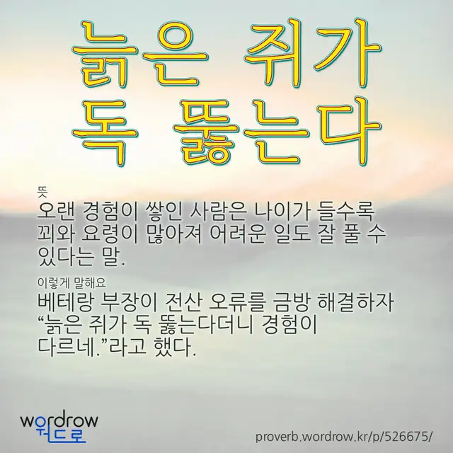 “늙은 쥐가 독 뚫는다” 글씨와 뜻·예문이 완성된 속담 영상 포스터