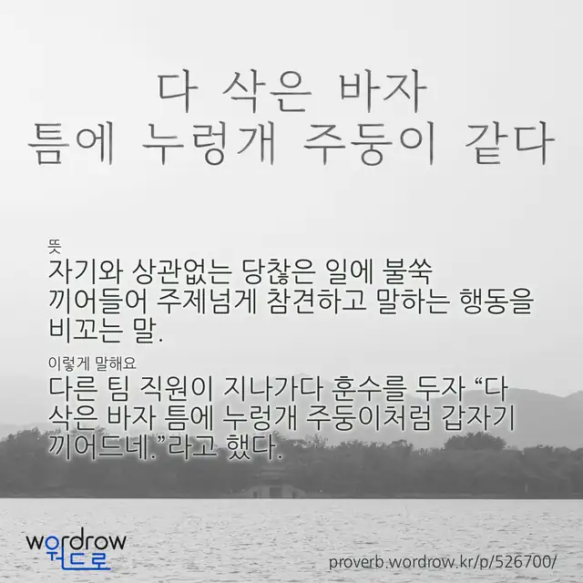 “다 삭은 바자 틈에 누렁개 주둥이 같다” 글씨와 뜻·예문이 완성된 속담 영상 포스터