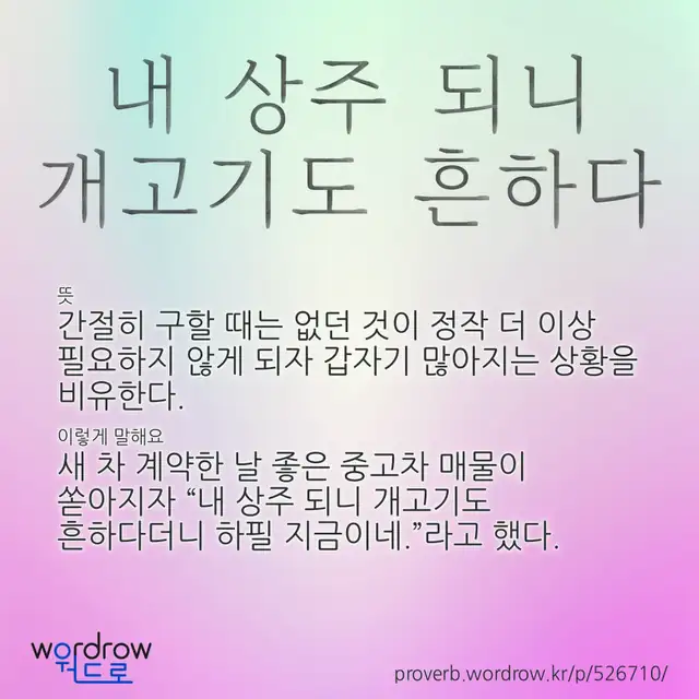 “내 상주 되니 개고기도 흔하다” 글씨와 뜻·예문이 완성된 속담 영상 포스터