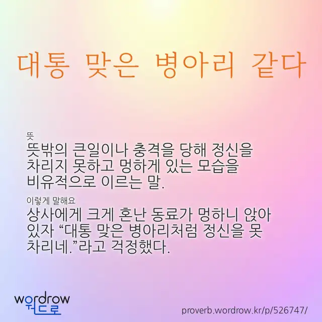 “대통 맞은 병아리 같다” 글씨와 뜻·예문이 완성된 속담 영상 포스터