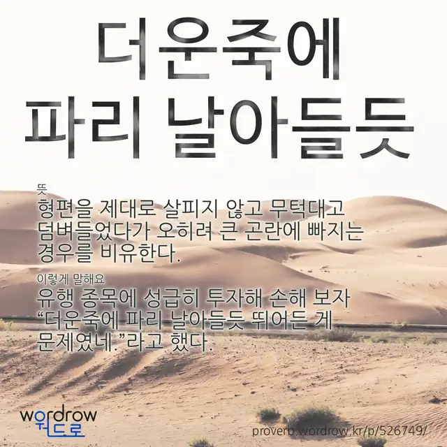 “더운죽에 파리 날아들듯” 글씨와 뜻·예문이 완성된 속담 영상 포스터