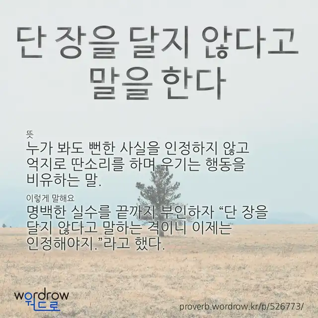 “단 장을 달지 않다고 말을 한다” 글씨와 뜻·예문이 완성된 속담 영상 포스터