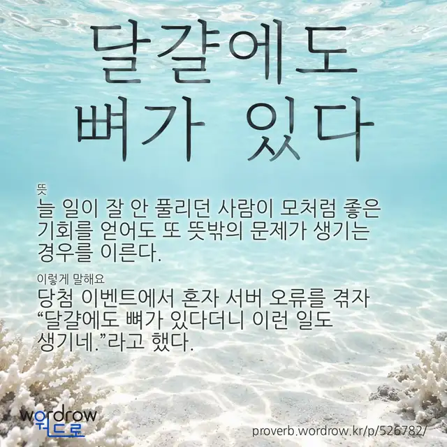 “달걀에도 뼈가 있다” 글씨와 뜻·예문이 완성된 속담 영상 포스터