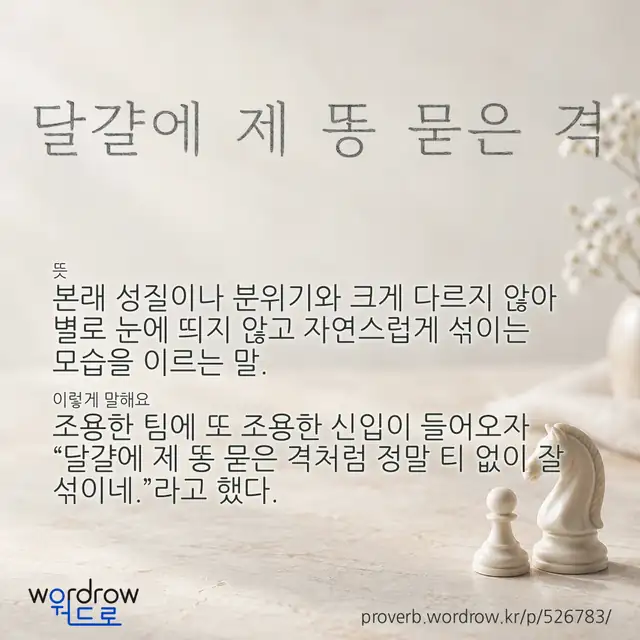 “달걀에 제 똥 묻은 격” 글씨와 뜻·예문이 완성된 속담 영상 포스터