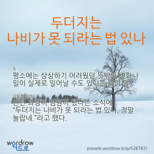 “두더지는 나비가 못 되라는 법 있나” 글씨와 뜻·예문이 완성된 속담 영상 포스터