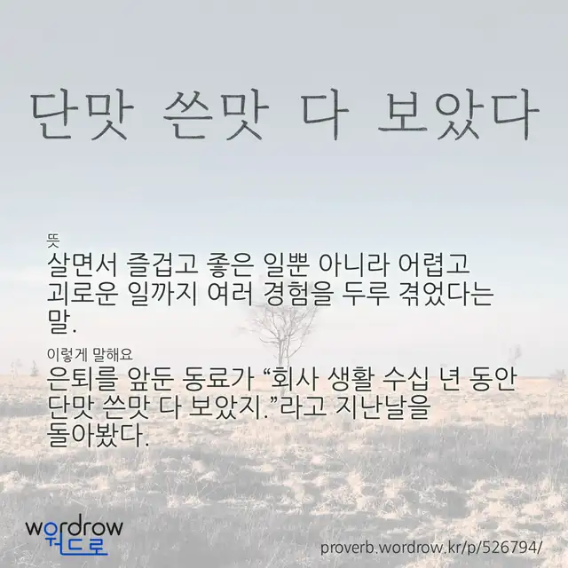 “단맛 쓴맛 다 보았다” 글씨와 뜻·예문이 완성된 속담 영상 포스터