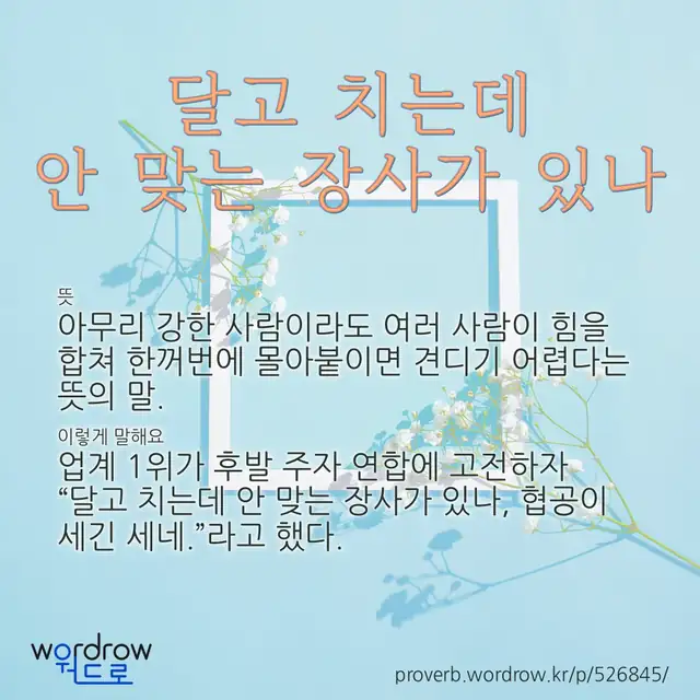 “달고 치는데 안 맞는 장사가 있나” 글씨와 뜻·예문이 완성된 속담 영상 포스터