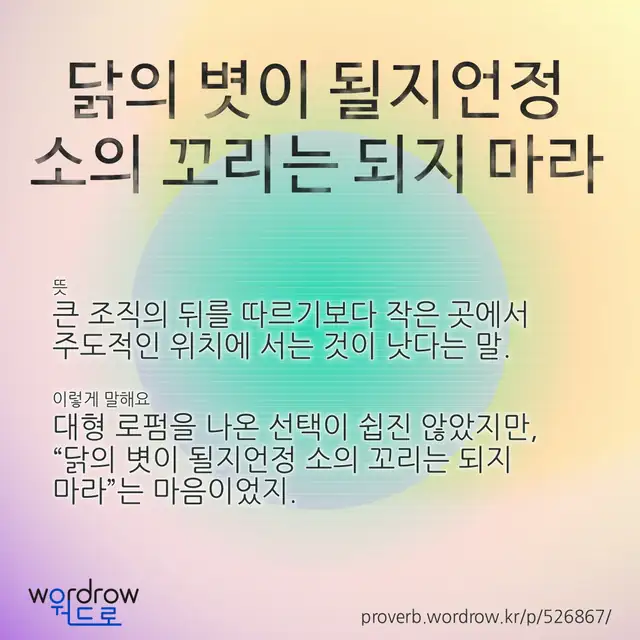“닭의 볏이 될지언정 소의 꼬리는 되지 마라” 글씨와 뜻·예문이 완성된 속담 영상 포스터
