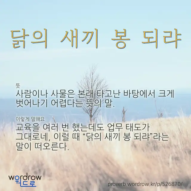 “닭의 새끼 봉 되랴” 글씨와 뜻·예문이 완성된 속담 영상 포스터