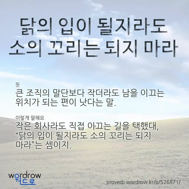 “닭의 입이 될지라도 소의 꼬리는 되지 마라” 글씨와 뜻·예문이 완성된 속담 영상 포스터