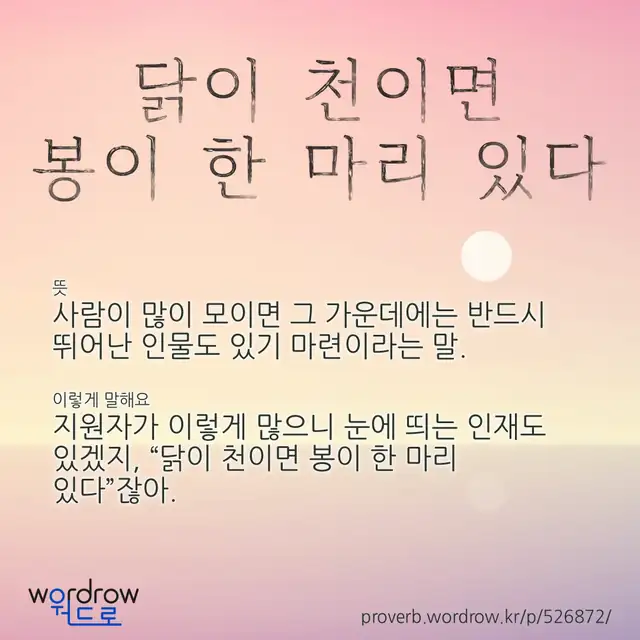 “닭이 천이면 봉이 한 마리 있다” 글씨와 뜻·예문이 완성된 속담 영상 포스터