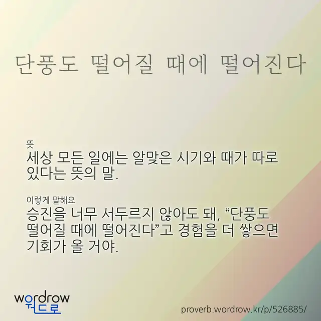 “단풍도 떨어질 때에 떨어진다” 글씨와 뜻·예문이 완성된 속담 영상 포스터