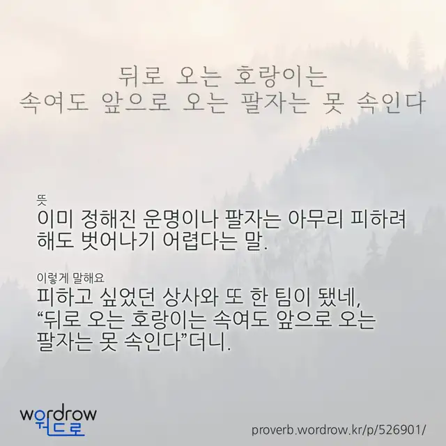 “뒤로 오는 호랑이는 속여도 앞으로 오는 팔자는 못 속인다” 글씨와 뜻·예문이 완성된 속담 영상 포스터