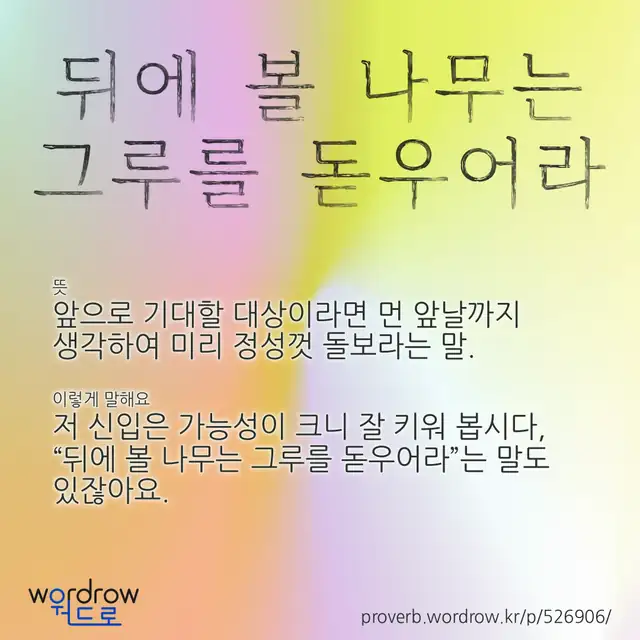 “뒤에 볼 나무는 그루를 돋우어라” 글씨와 뜻·예문이 완성된 속담 영상 포스터