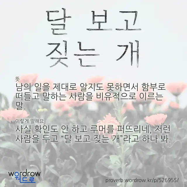 “달 보고 짖는 개” 글씨와 뜻·예문이 완성된 속담 영상 포스터