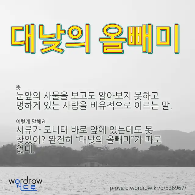 “대낮의 올빼미” 글씨와 뜻·예문이 완성된 속담 영상 포스터