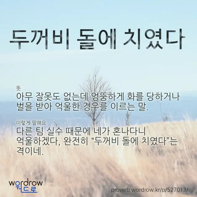 “두꺼비 돌에 치였다” 글씨와 뜻·예문이 완성된 속담 영상 포스터