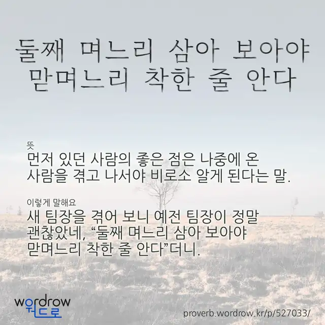 “둘째 며느리 삼아 보아야 맏며느리 착한 줄 안다” 글씨와 뜻·예문이 완성된 속담 영상 포스터
