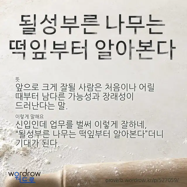 “될성부른 나무는 떡잎부터 알아본다” 글씨와 뜻·예문이 완성된 속담 영상 포스터