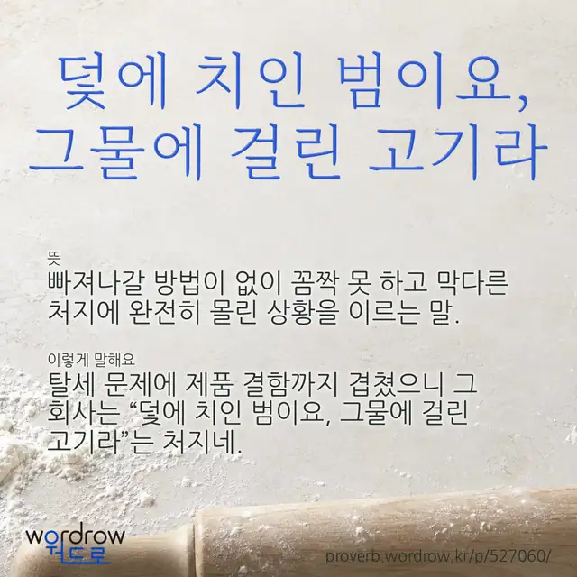 “덫에 치인 범이요, 그물에 걸린 고기라” 글씨와 뜻·예문이 완성된 속담 영상 포스터