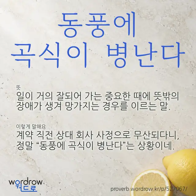 “동풍에 곡식이 병난다” 글씨와 뜻·예문이 완성된 속담 영상 포스터