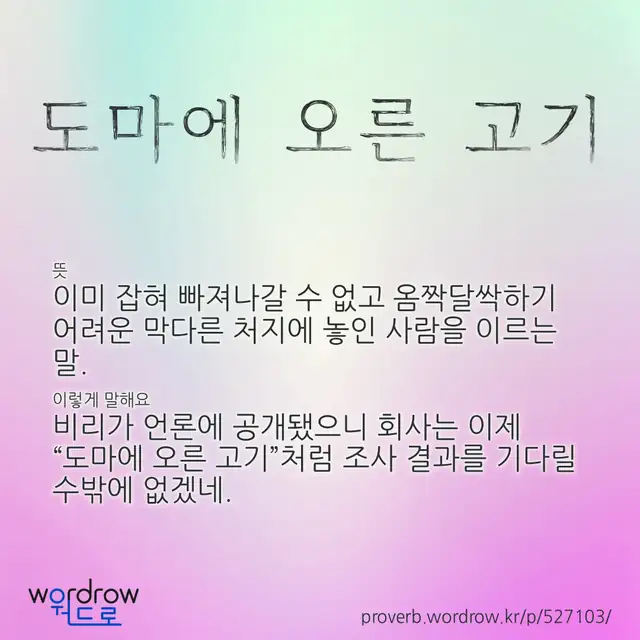 “도마에 오른 고기” 글씨와 뜻·예문이 완성된 속담 영상 포스터
