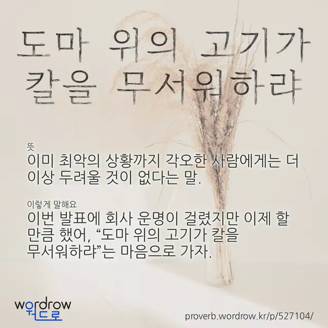 “도마 위의 고기가 칼을 무서워하랴” 글씨와 뜻·예문이 완성된 속담 영상 포스터