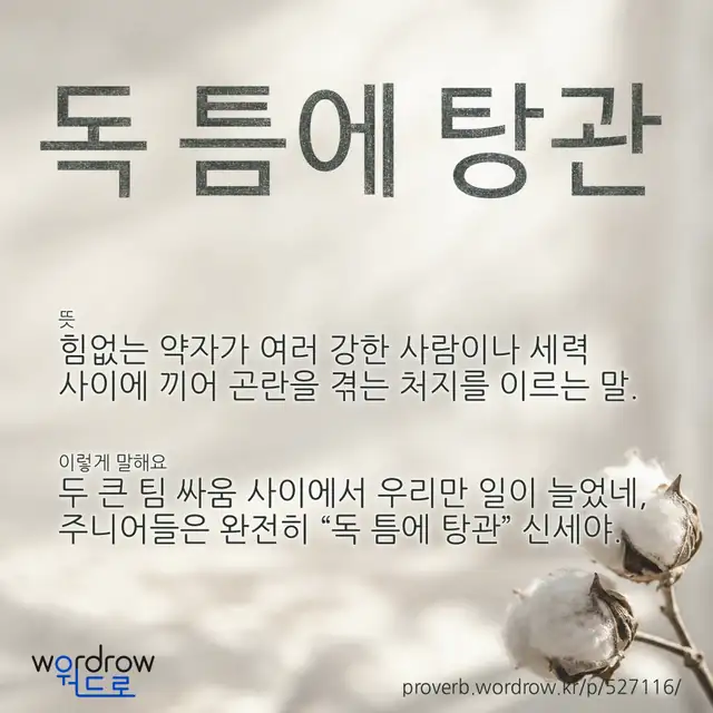“독 틈에 탕관” 글씨와 뜻·예문이 완성된 속담 영상 포스터